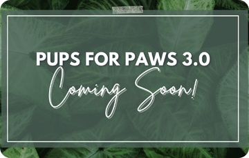 Pups For Paws 3.0